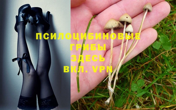 таблы Покачи