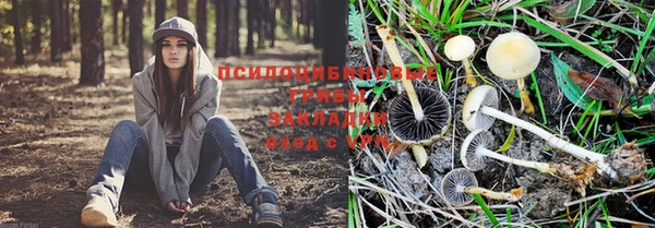 каннабис Алзамай