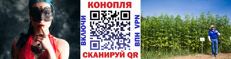 Шишки марихуана тримм  Вытегра 